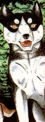 <small>Cover</small>