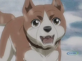 <small>GDW Anime</small>