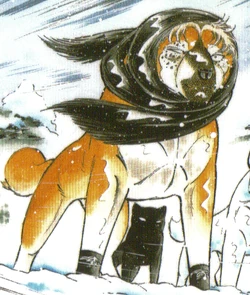 Masamune Kurohabaki/Gallery | Ginga Wiki | Fandom