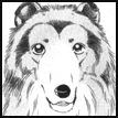 LassieGraphic2.png