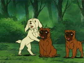 <small>GNG Anime</small>