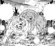 Kinta stopping Tama from fighting the Aka-Ari brothers