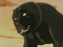 <small>GNG A.</small>