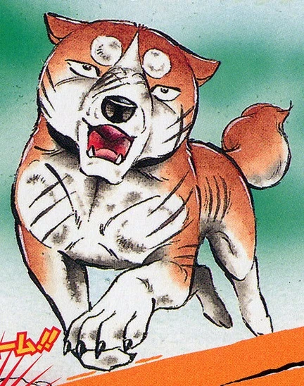 Riki - Ginga Wiki - Fandom