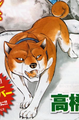 <small>Cover</small>