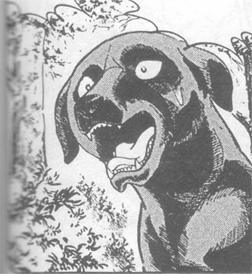 Kuro | Ginga Wiki | Fandom