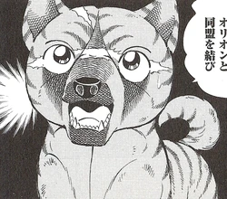 Yamabiko Kurohabaki/Gallery | Ginga Wiki | Fandom