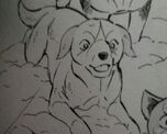 Tama as puppy