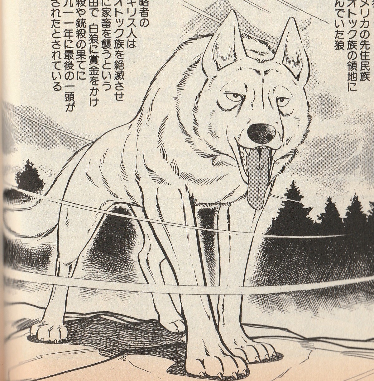 The White Wolf Ginga Wiki Fandom