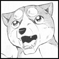 SiriusGraphic.png