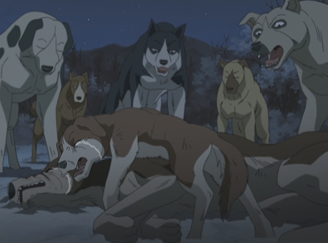 An Honorable Promise Ginga Wiki Fandom An Honorable Promise Ginga Wiki Fandom