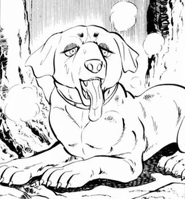 <small>GNG Manga</small>