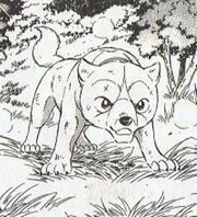 Kotetsu as puppy