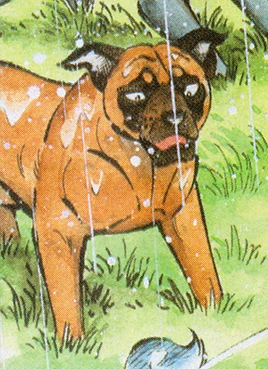 <small>Cover</small>