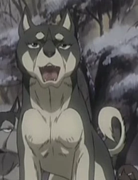 Ryō | Ginga Wiki | Fandom
