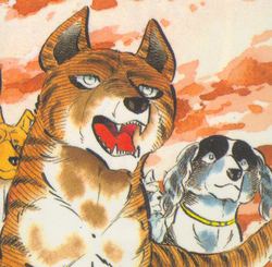 Akatora/Gallery | Ginga Wiki | Fandom