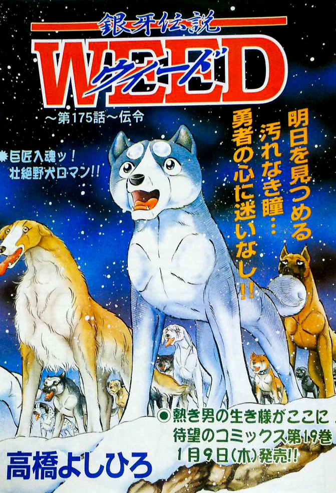 Chapter 175 Gdw Ginga Wiki Fandom