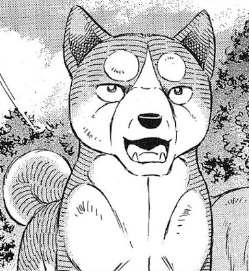 🔥 Ginga Densetsu Weed: Orion MBTI Personality Type - Anime & Manga