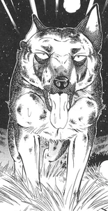 Jerome injured after Aram army battle against Hakuro's army