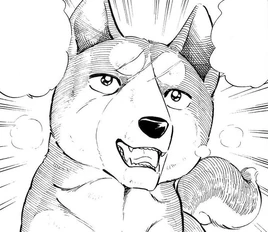 <small>GDW M.</small>