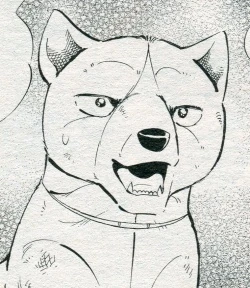 Yuki | Ginga Wiki | Fandom