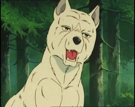 <small>GNG A.</small>