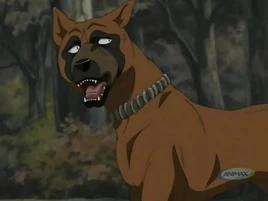 <small>GDW A.</small>