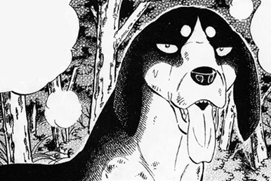 Tetsu | Ginga Wiki | Fandom