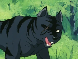 <small>GNG A.</small>