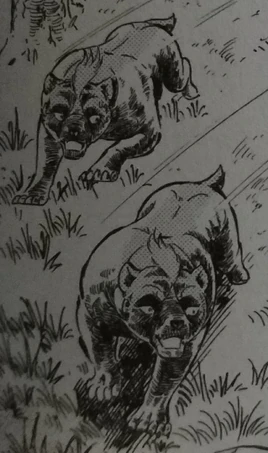 Tumblr owbvblaWl51tr6wqbo1 1280