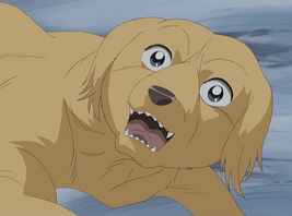 <small>GDW Anime</small>