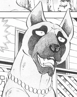 <small>GDW M.</small>