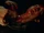 Lycanthropy