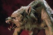 Werewolf from Ginger Snaps