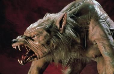 Best Werewolf Movies of All Time: 'Ginger Snaps,' 'Teen Wolf,' More –  IndieWire