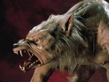 Werewolf