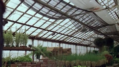 The main section typically houses most of the plants