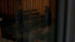 Vlcsnap-2025-09-25-20h27m59s908.png (1.61 MB) View from the kitchen. Note the stairs and the planters