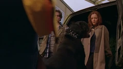 Morley barks at Ginger. Note his spiked collar.