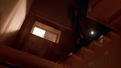 Vlcsnap-2025-09-26-13h20m28s223.png (1.61 MB) The staircase leading down to the basement from the kitchen. Note how the window implies that the dining room wall is not an outer wall of the house.