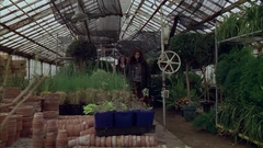 Main section of the greenhouse that is generally open to visitors
