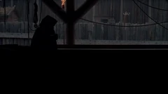 Vlcsnap-2025-10-21-15h35m11s639.png (381 KB) Ginger behind the fence of the entryway at (D). Note the sod roof on the building (H) to the left. and the shed (F) to the right. The cemetery is further to the right.