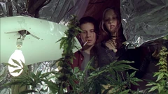 Sam grows marijuana next to his office