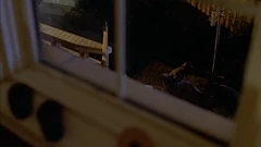 Vlcsnap-2025-09-25-21h34m05s922.png (1.61 MB) View from the parent's bedroom. Note the birdhouses in the tree and the wooden railing of the far side of the terrace.