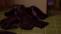 Morley's collar on the bathroom floor.