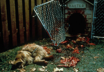 Baxter Ginger Snaps Wiki Fandom
