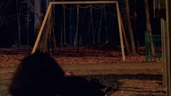 Vlcsnap-2025-10-02-19h55m40s111.png (2.07 MB) A small forest lies behind a swing set