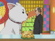 Sadaharu Episode 158