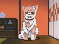 Sadaharu is bald in Episode 171