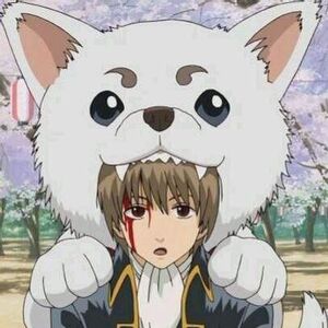 Sadaharu Gintama Wiki Fandom And we definitely can't resist being like aww… he is of average height. sadaharu gintama wiki fandom